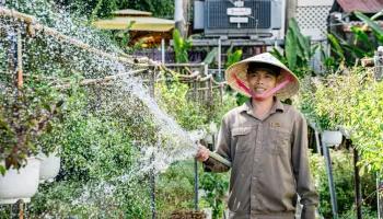 Vườn thảo mộc