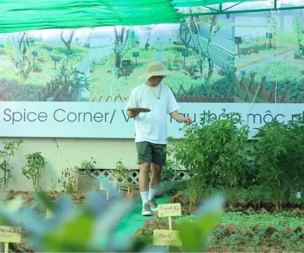 Vườn thảo mộc